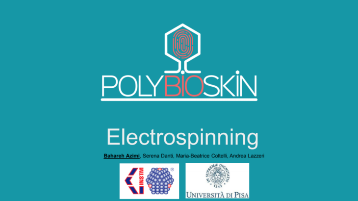 PolyBIOskin-Electrospinning_01