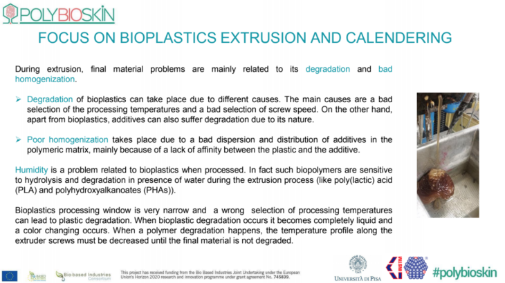 PolyBIOskin-Extrusion Process and Calendering_30